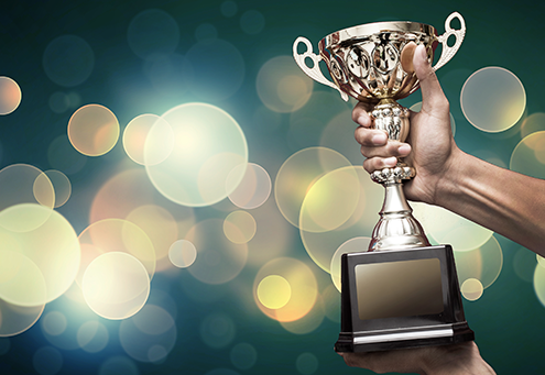 Image of a hand holding an award trophy